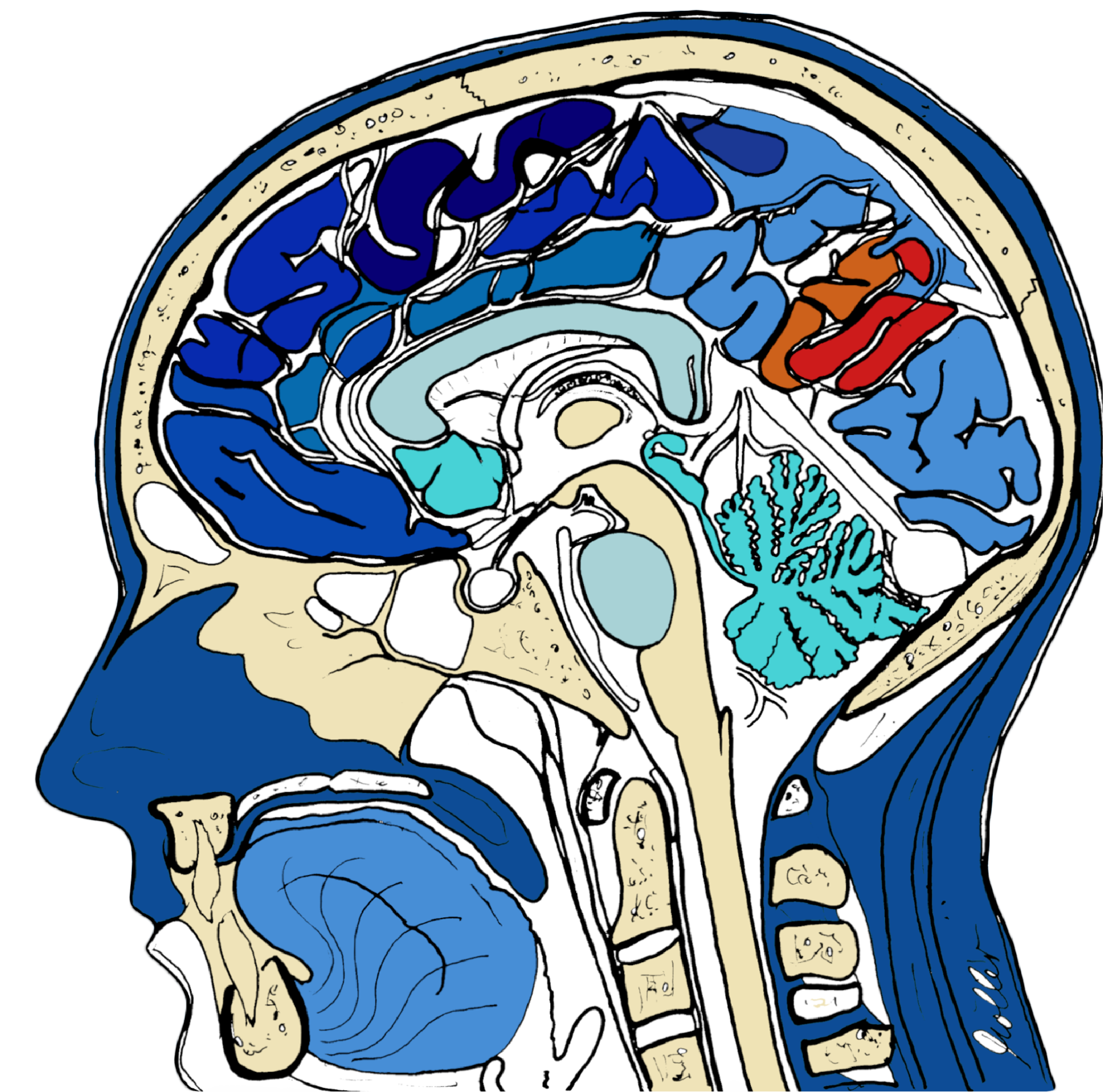 kopf-ki-freigestellt